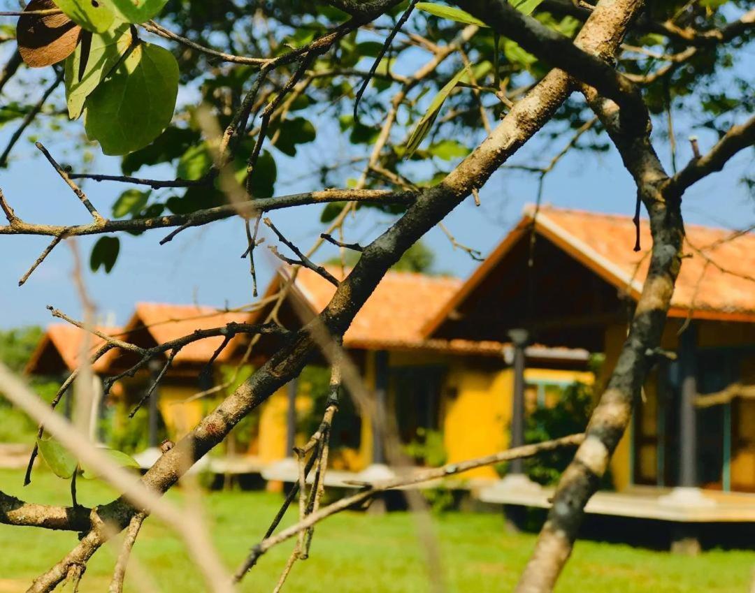 Kumbukgaha Villa Sigirija Zewnętrze zdjęcie